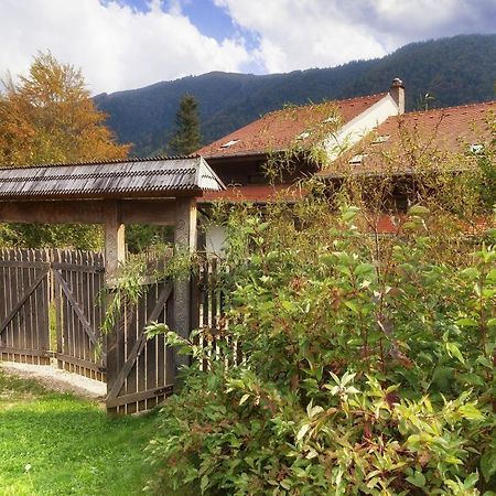 Casa Ferica Villa Azuga Exterior photo