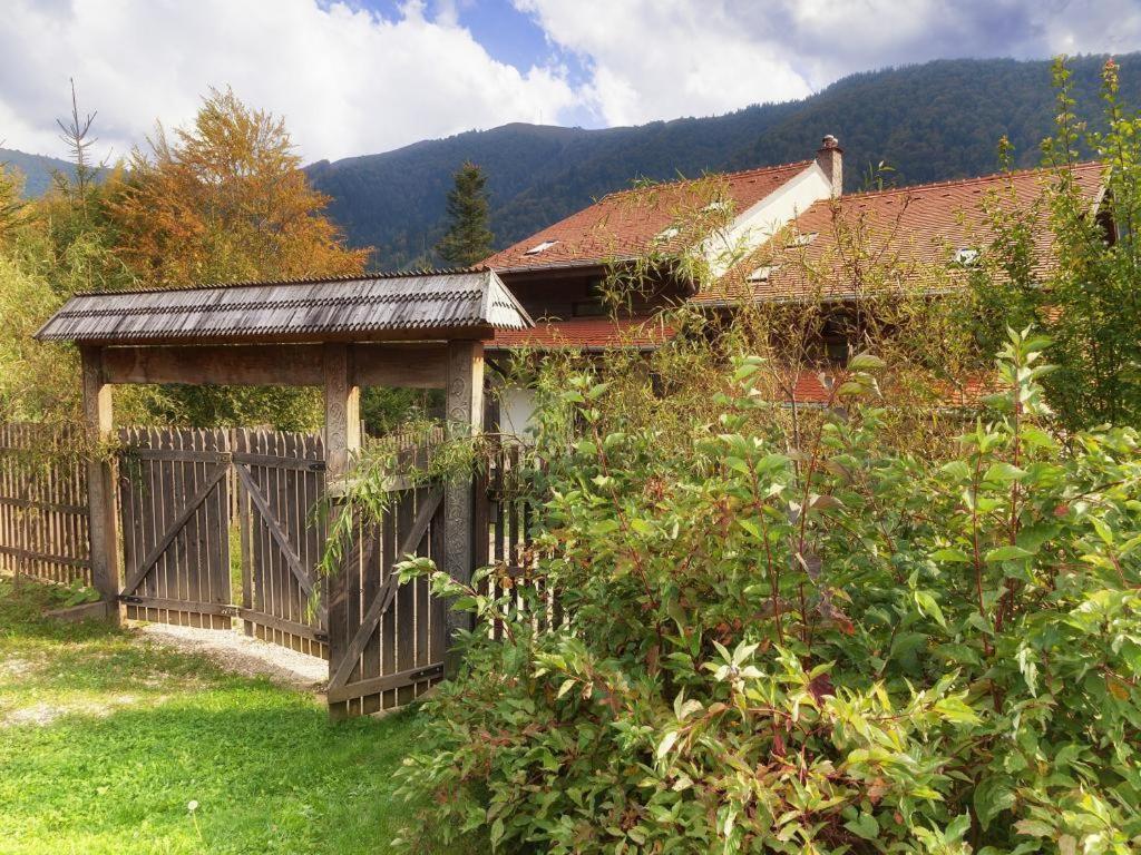Casa Ferica Villa Azuga Exterior photo
